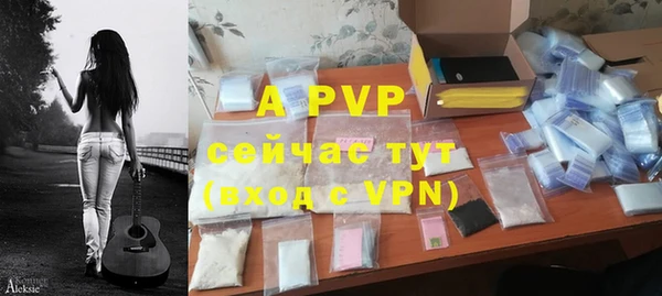крисы Белокуриха