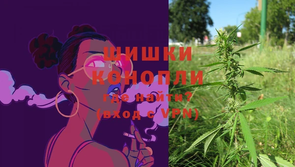 крисы Белокуриха